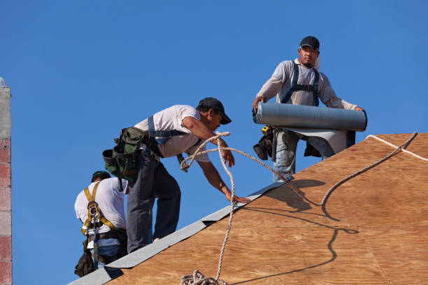 Roof Gutter Cleaning in Woodstock, GA